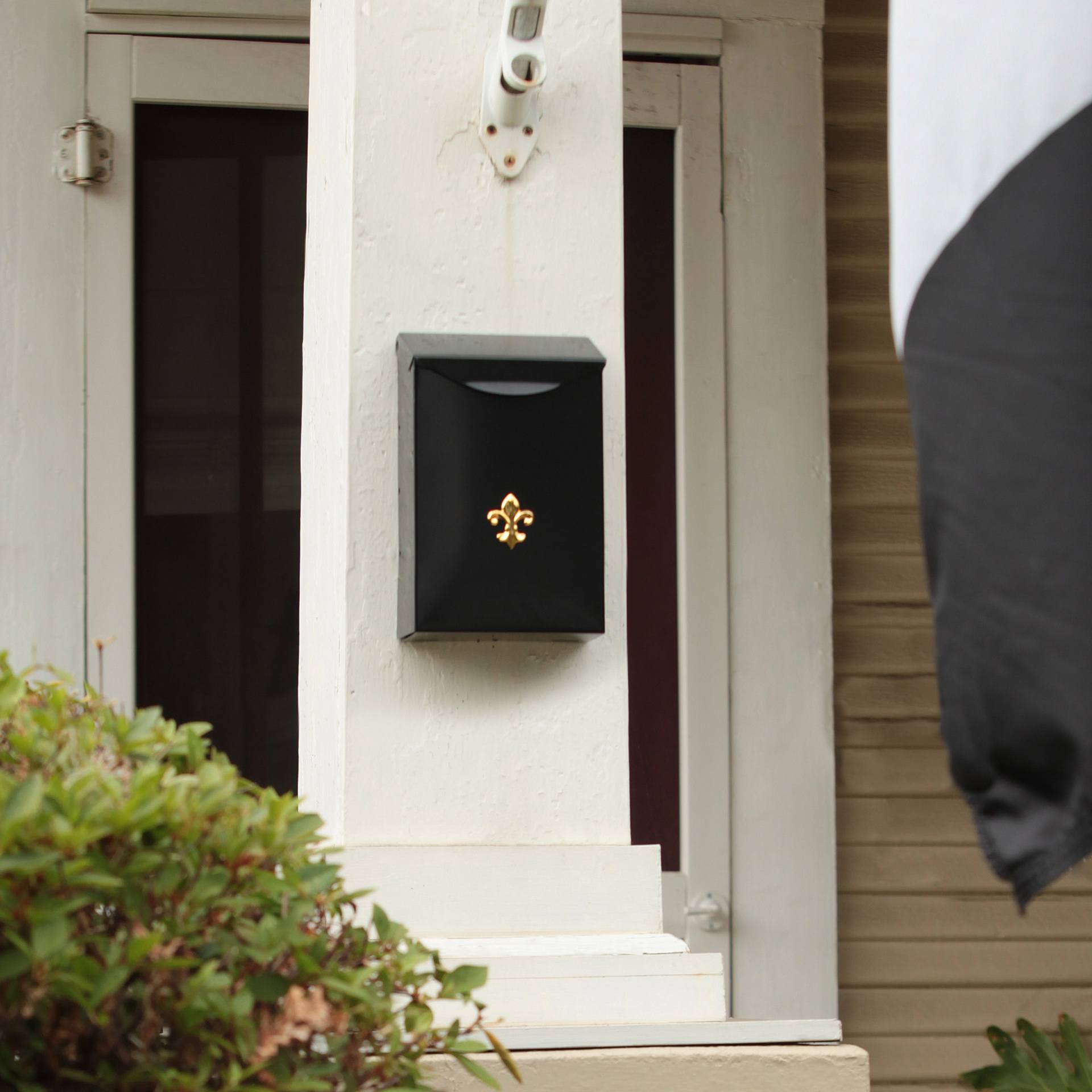 Oasis Black Lifestyle