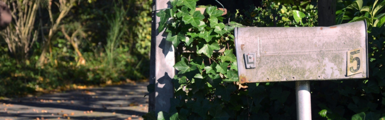 TOP FIVE Reasons to Replace Your Mailbox