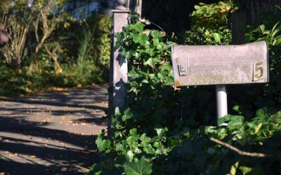 TOP FIVE Reasons to Replace Your Mailbox