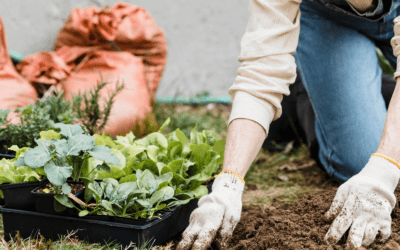 Spring Into Action: 7 Outdoor Tasks to Tackle This Season