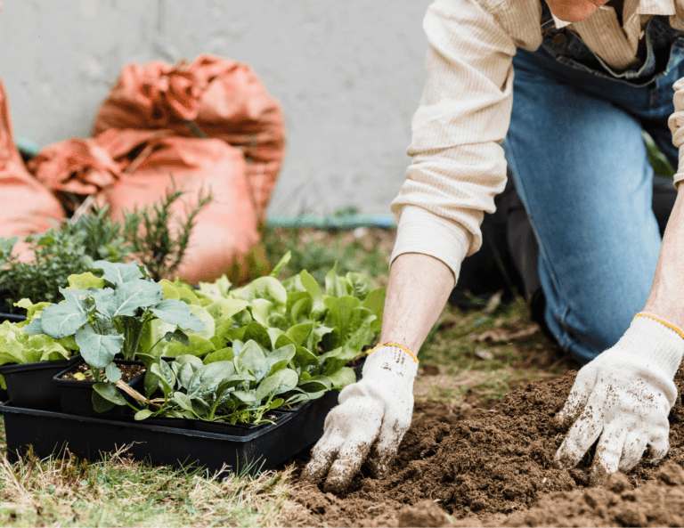 Spring Into Action: 7 Outdoor Tasks to Tackle This Season