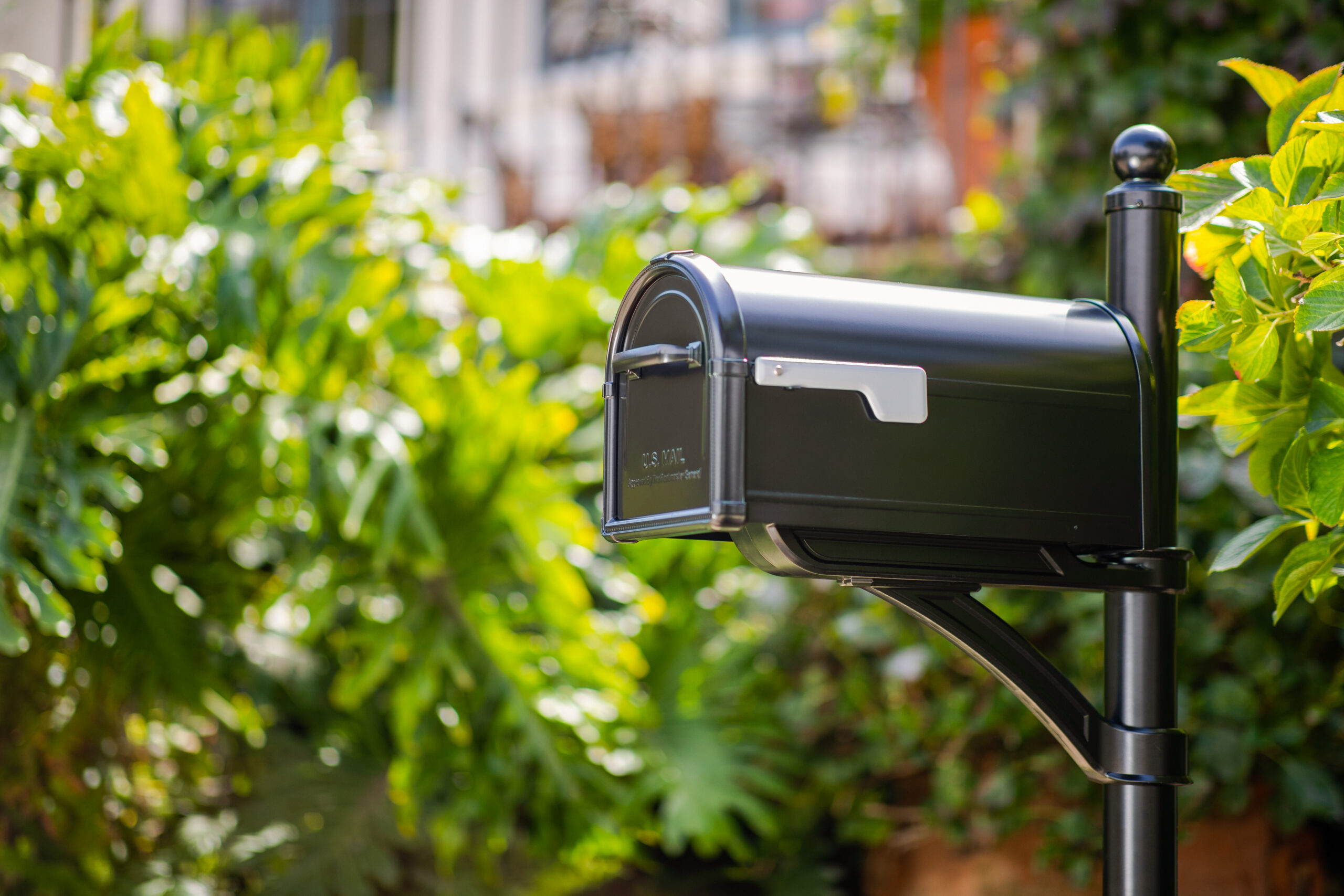 Black mailbox mounted on a post with lush green foliage in the background, in a sunny yard setting.