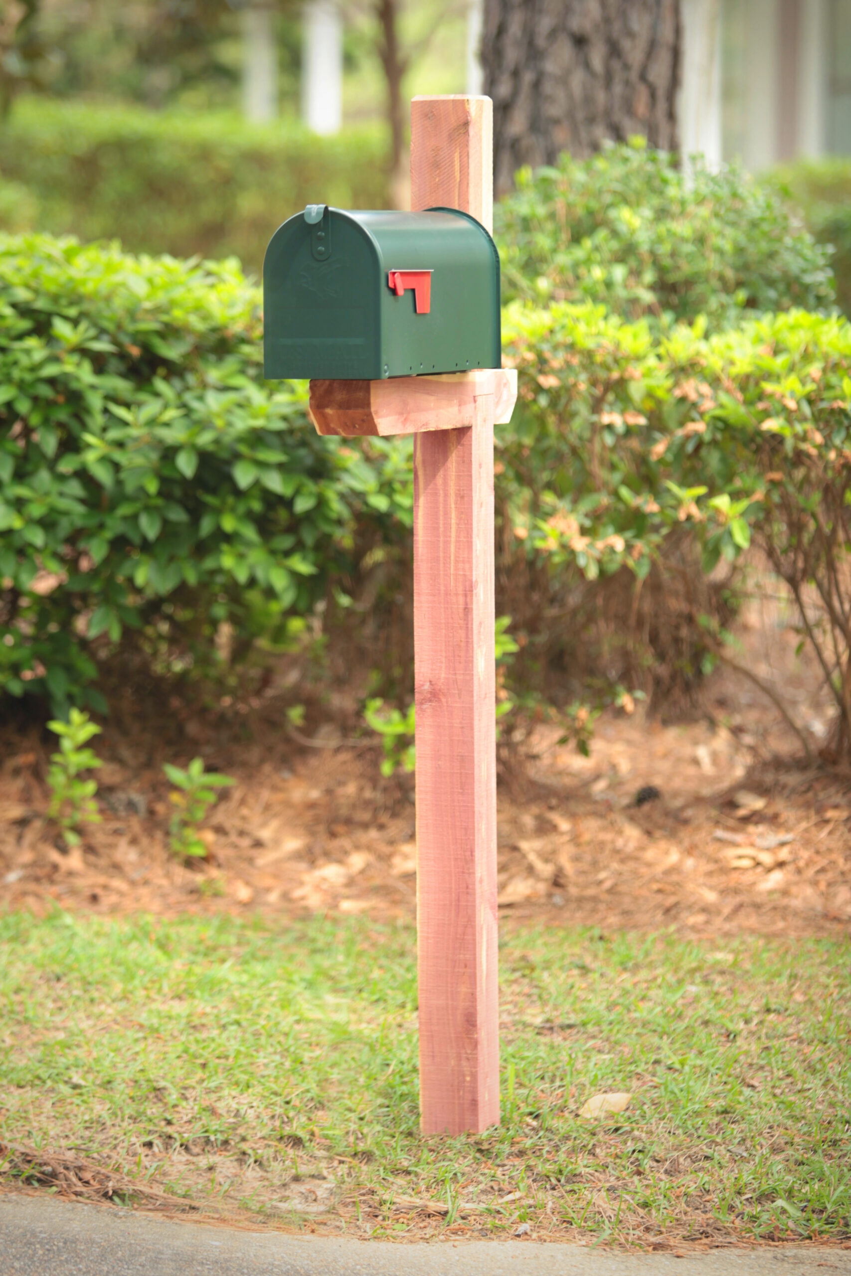 Green mailbox on a wooden post with a red flag, in a residential yard with shrubs nearby