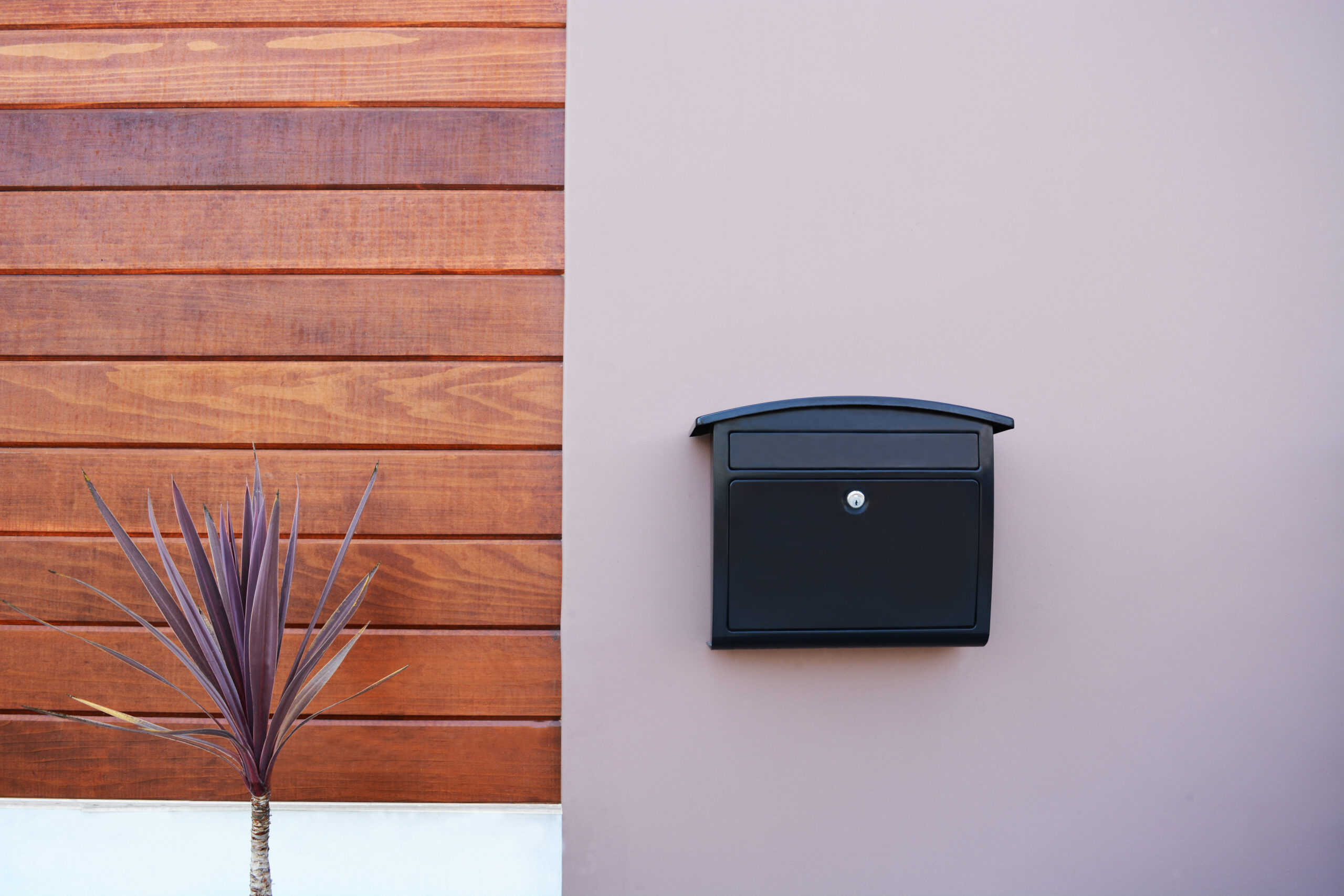 Black wall-mounted mailbox on a pale pink wall beside a wooden-paneled surface, with a purple spiky plant in the foreground.