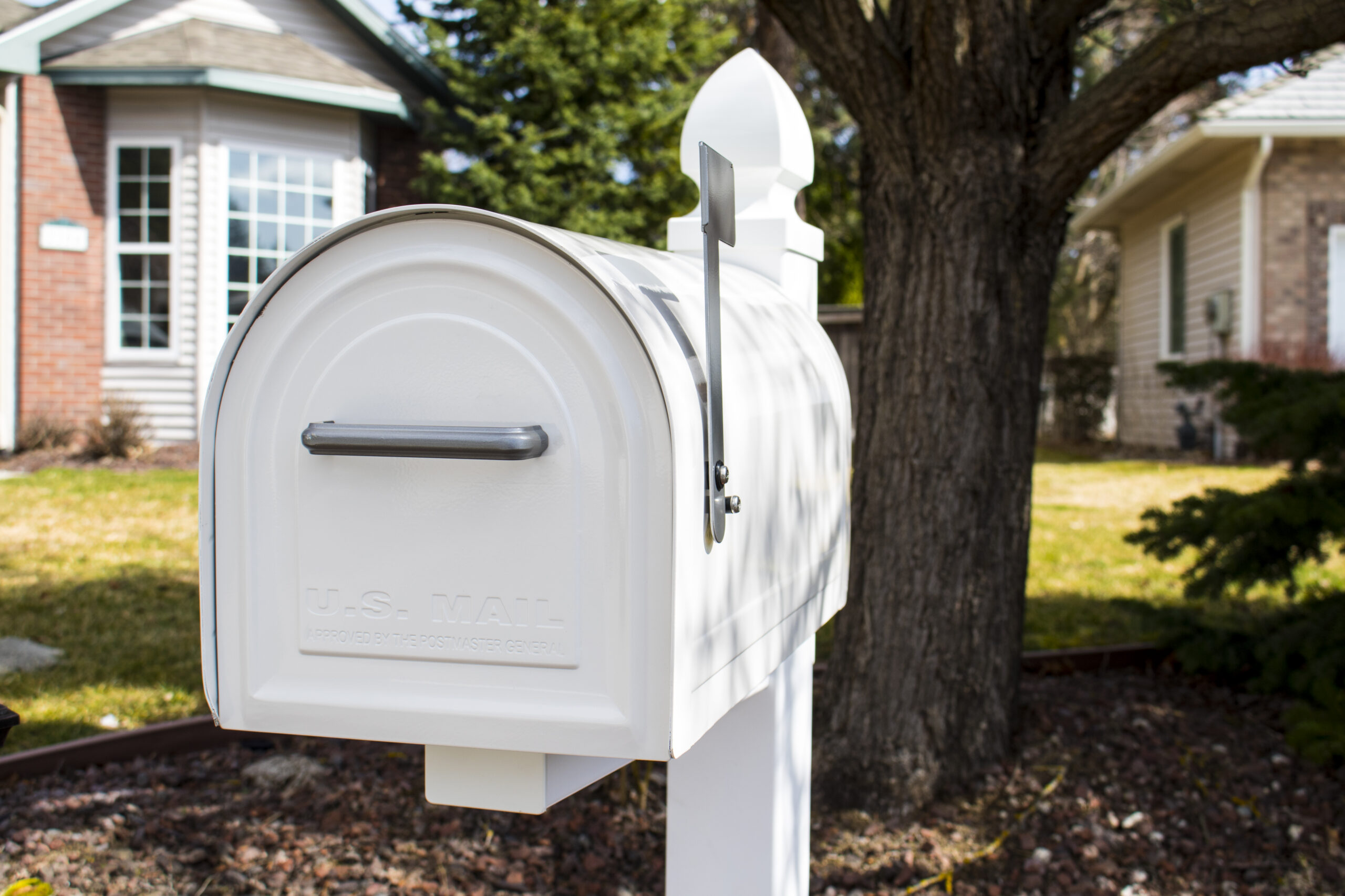 White, rounded-top USPS mailbox on a post in a suburban front yard with a large tree and houses in the background.