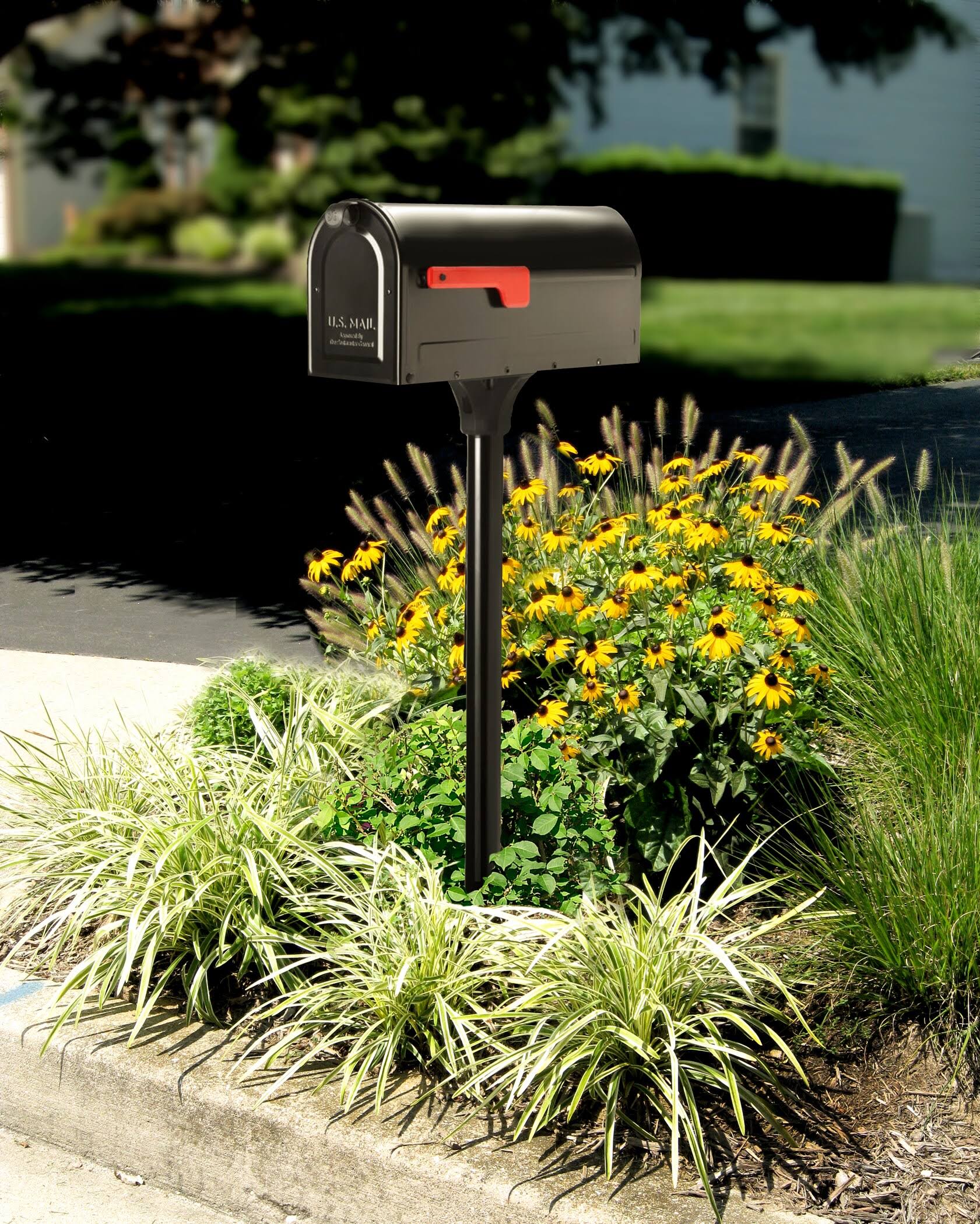 U.S. Mail mailbox on a post in a flower bed beside bright yellow flowers and ornamental grasses.